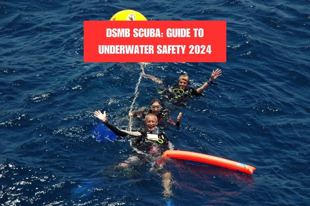 DSMB Scuba Guide to Underwater Safety 2024 UlmoDiving