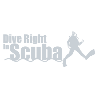 Home 7 diverightinscuba logo