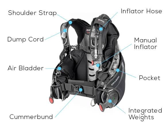 How Does a BCD Work? - A Comprehensive Guide 2024 2 BCD WORK