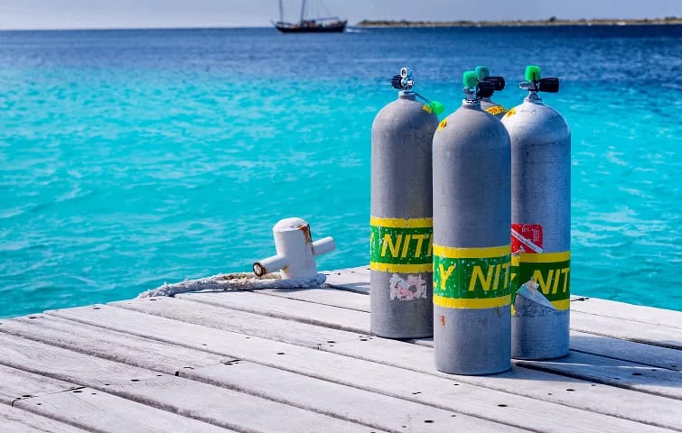 Nitrox Scuba Diving: A Comprehensive Guide 2024 2